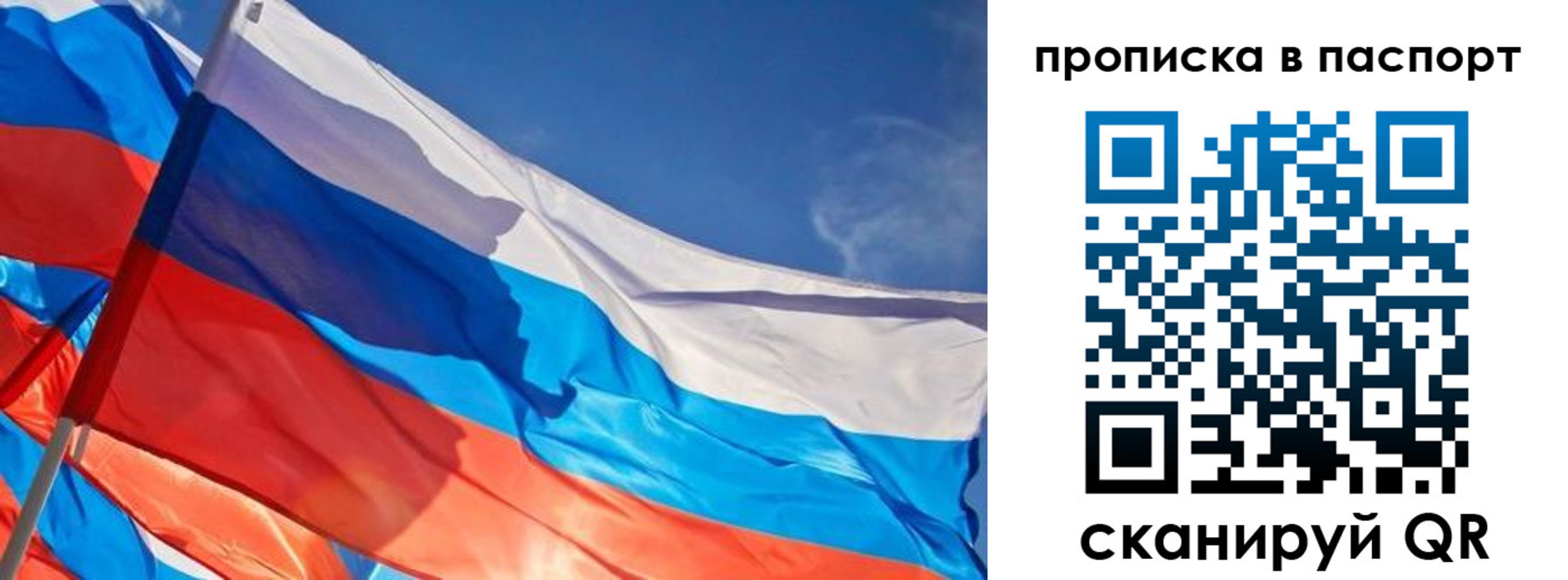 временная регистрация поиск в Балтийске